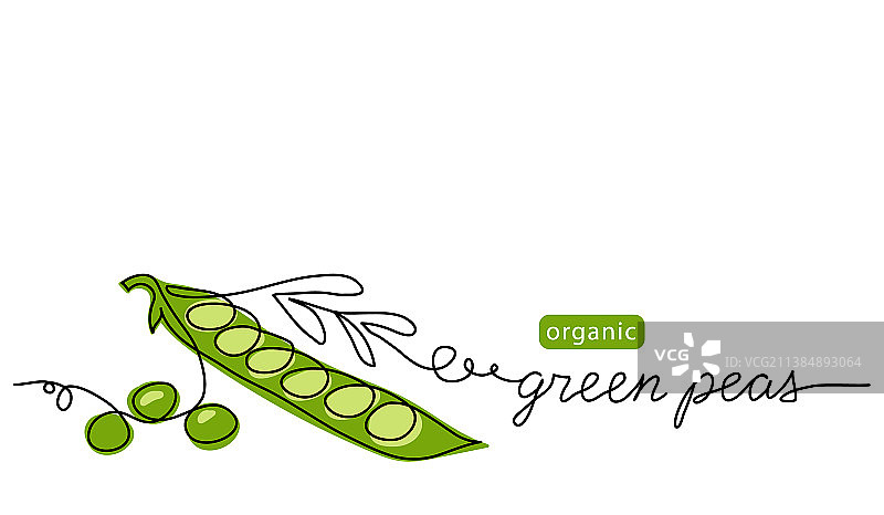 绿色豌豆荚简约配色图片素材