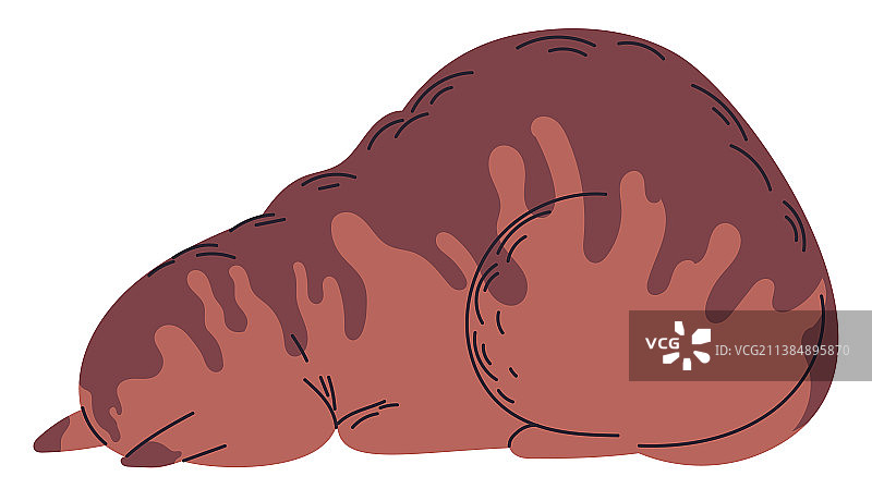 猫咪脸朝下躺着，额头贴地休息图片素材