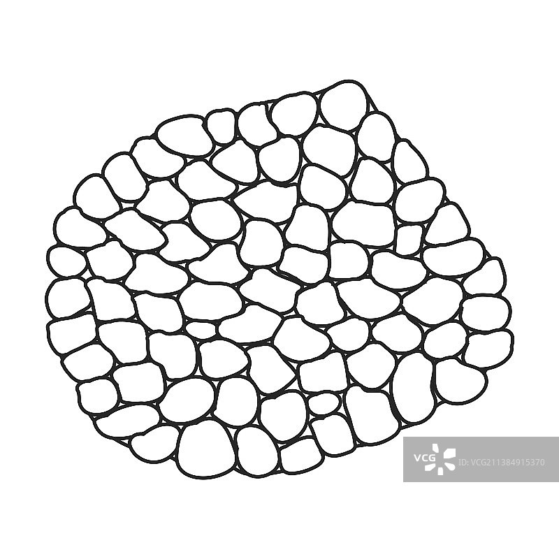 松露轮廓图标图片素材