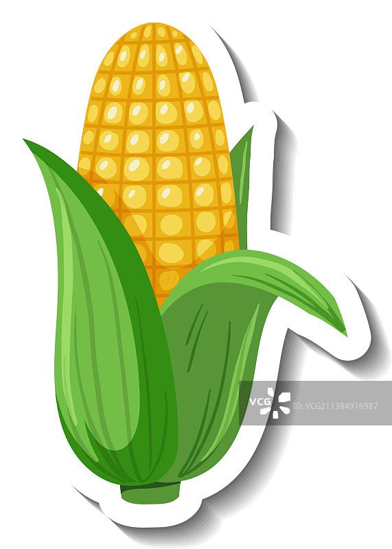 简单的玉米贴纸模板图片素材