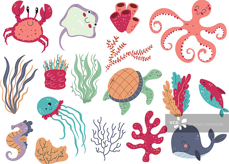 水下珊瑚和海藻动植物图片素材