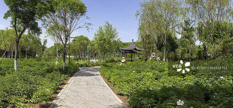 宁夏银川花博园---牡丹园图片素材