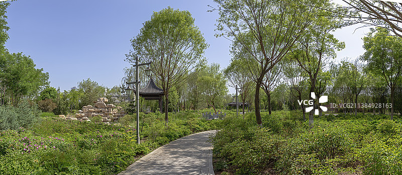 宁夏银川花博园---牡丹园图片素材