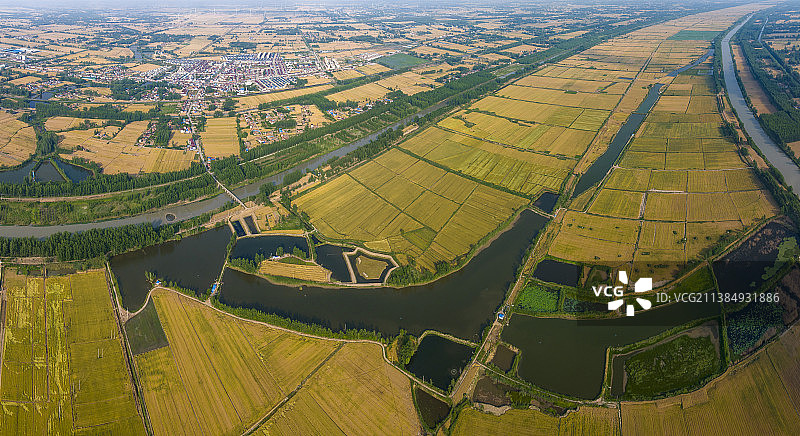 金色的田野图片素材