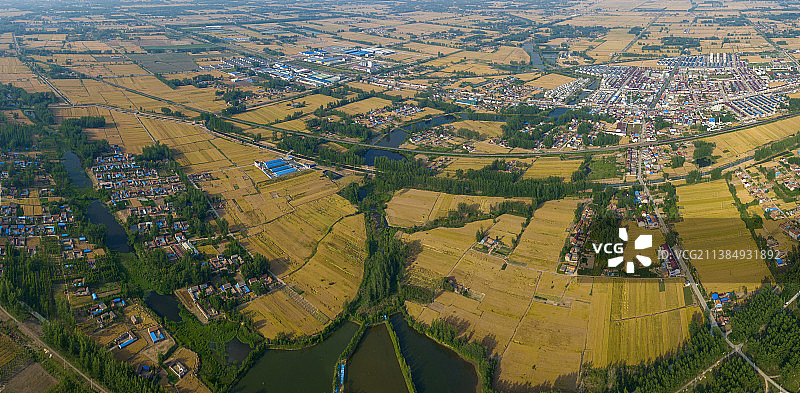 金色的田野图片素材