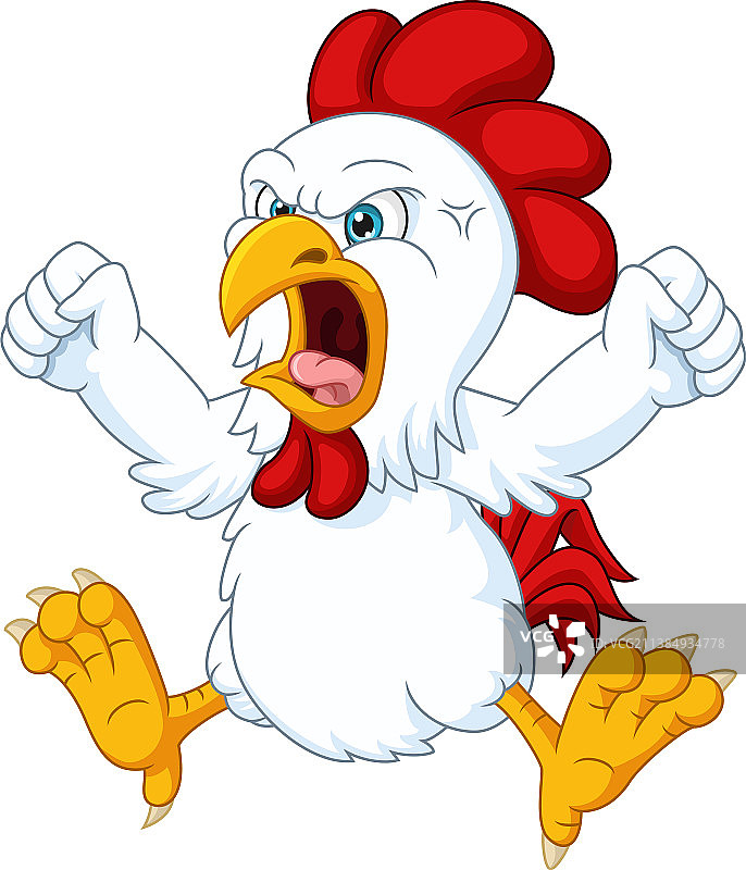 白色背景上的卡通愤怒小鸡图片素材
