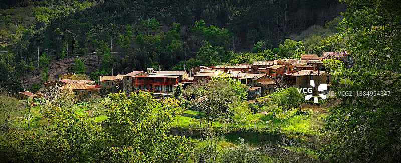 森林中的树木和建筑物高角度视图图片素材