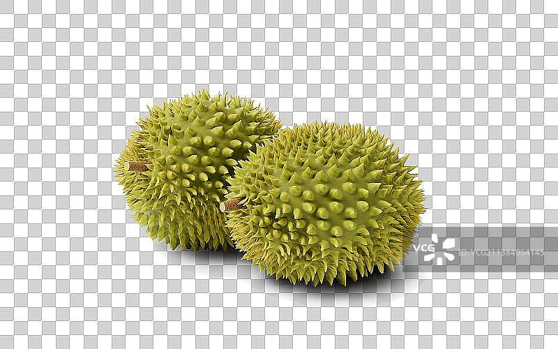 水果榴莲透明背景3D渲染图片素材