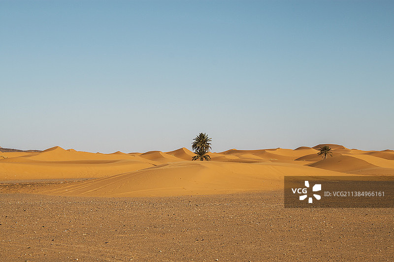 非洲摩洛哥撒哈拉沙漠美丽风光图片素材