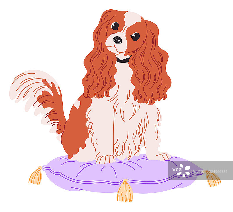 查理士王小猎犬坐在枕头上图片素材