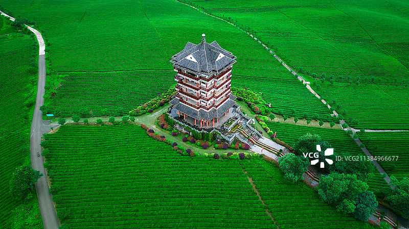 航拍贵州省湄潭茶海中国茶海航拍图片素材