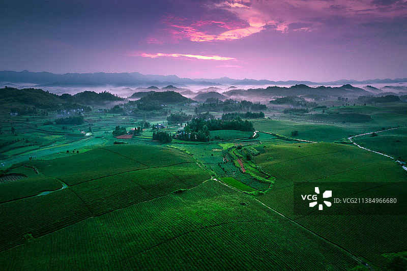 航拍贵州省湄潭茶海中国茶海航拍图片素材