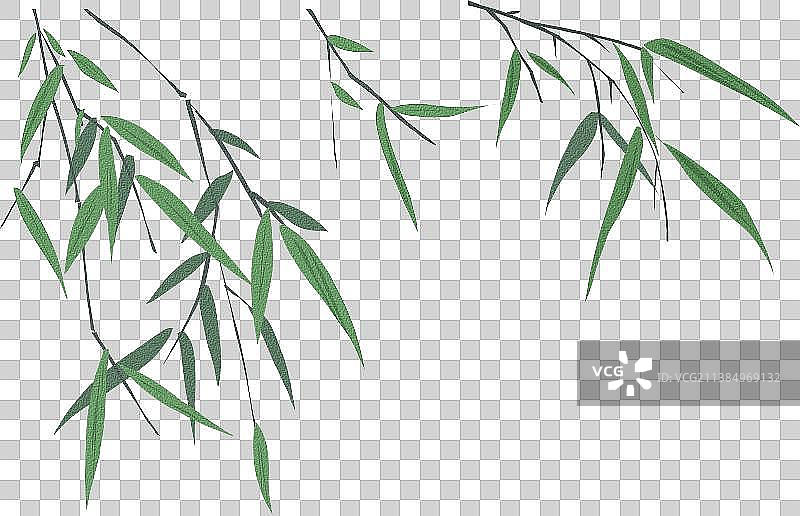植物叶子竹叶图片素材