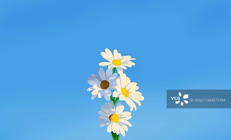 蓝天下白色雏菊壁纸插画图片素材