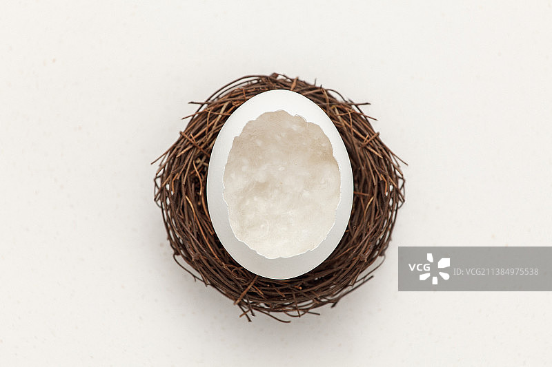 俄罗斯白色背景鸟巢中的鸟蛋俯视图图片素材