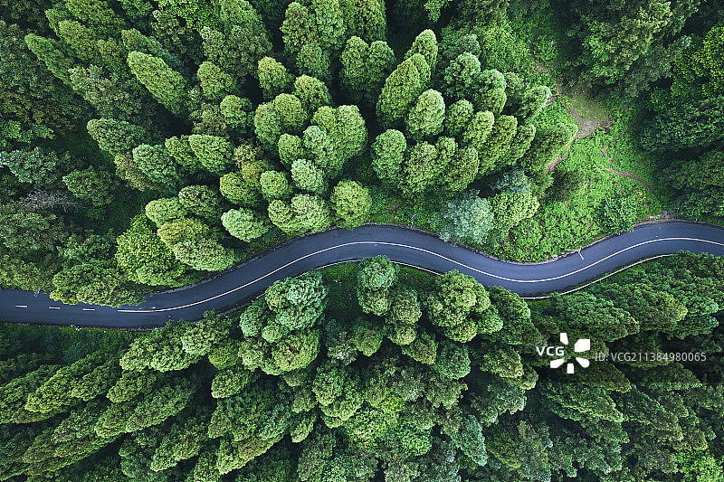 贵阳牛角坡森林公路图片素材