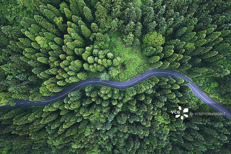 贵阳牛角坡森林公路图片素材