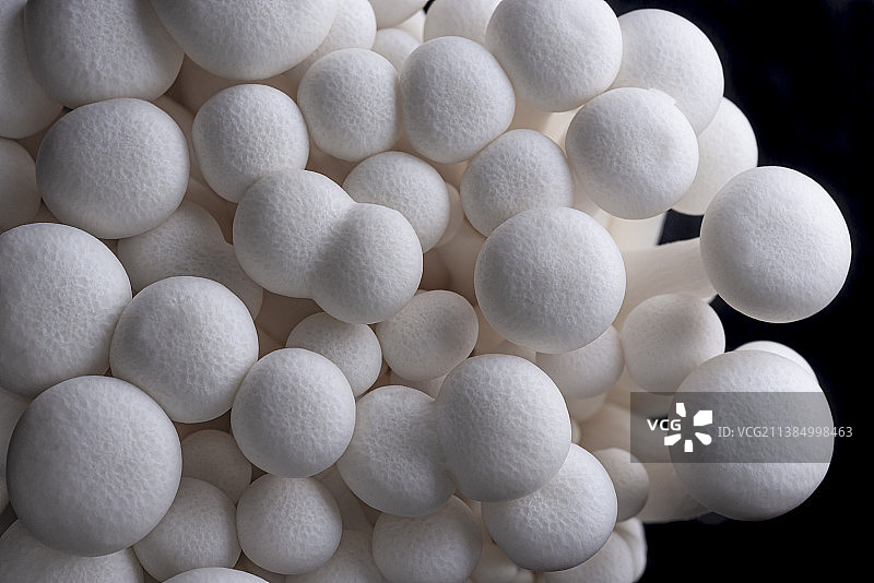 黑色背景上的白色真姬菇群图片素材