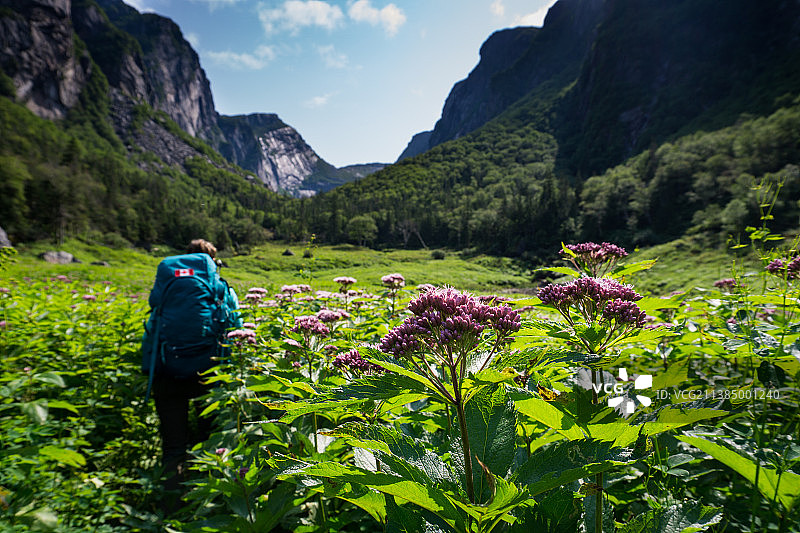 行走在梦中，女子在加拿大纽芬兰和拉布拉多山区原野行走图片素材