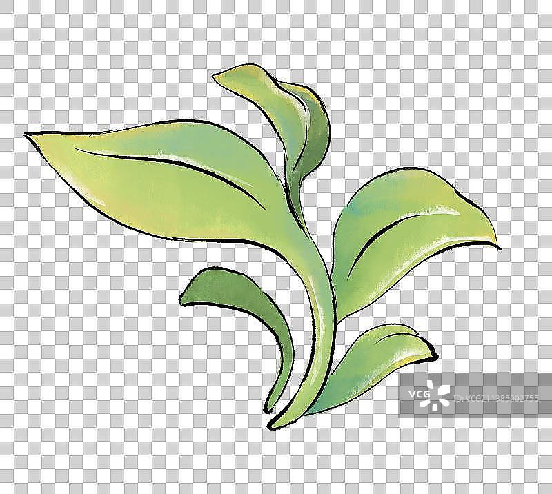插画元素鲜花和枝叶图片素材