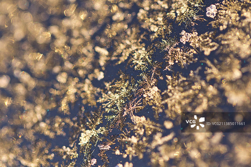 汽车车窗上的清晨霜图片素材