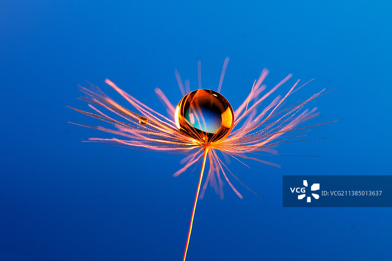 蓝色背景上的蓝色旋转特写图片素材