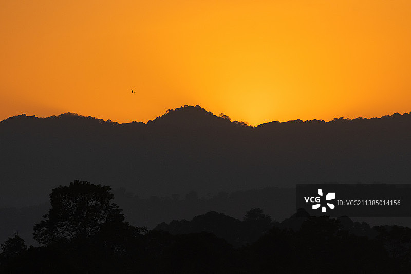 橙色天空下山脉的剪影，印度阿萨姆邦卡齐兰加国家公园的傍晚景色图片素材