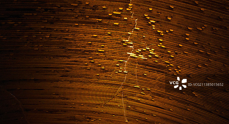 抽象背景的全帧镜头图片素材