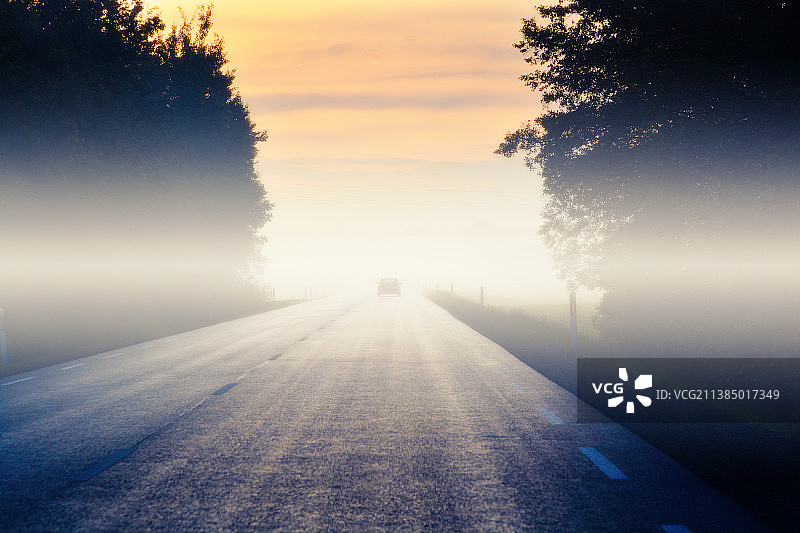 日落时分，风景中的树木剪影图片素材