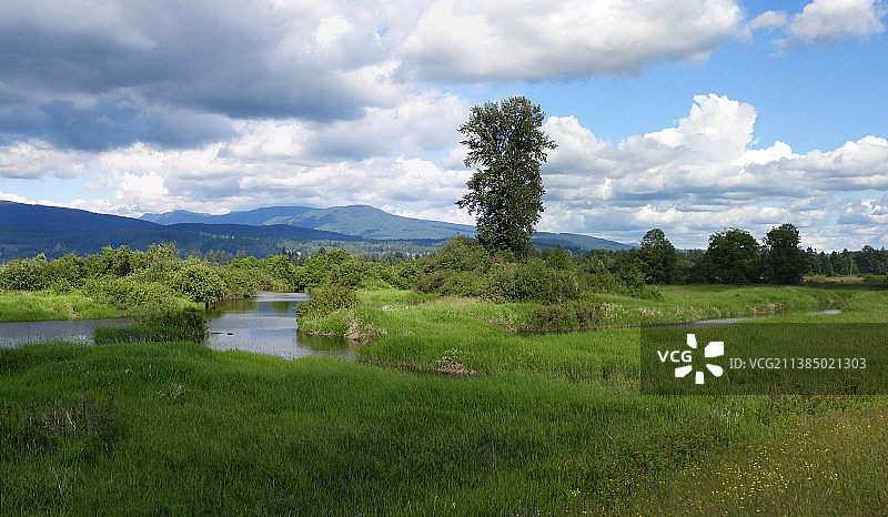 阴天在堤坝上行走，加拿大不列颠哥伦比亚省高贵林港图片素材