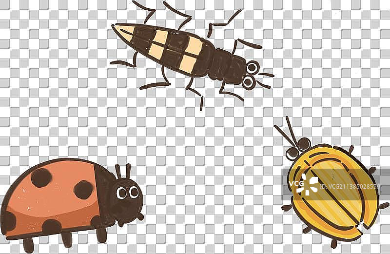 手绘卡通可爱的三只昆虫图片素材