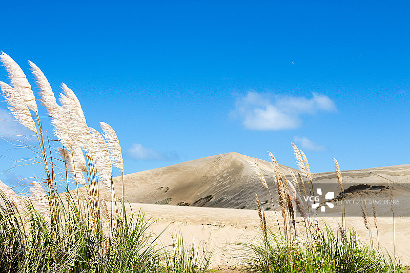 白色沙丘，新西兰沙漠的壮丽景色，蓝色天空图片素材