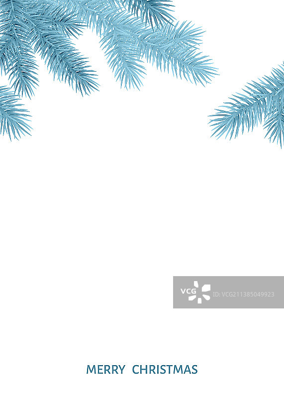 圣诞装饰用雾凇杉树枝图片素材