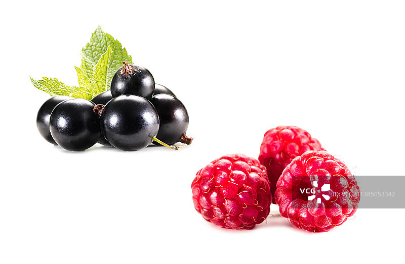 醋栗和覆盆子拼贴（白色背景）图片素材