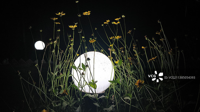 印度夜晚田野中的月亮灯图片素材