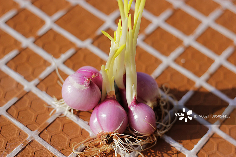 印度尼西亚桌子上洋葱的高角度视图图片素材