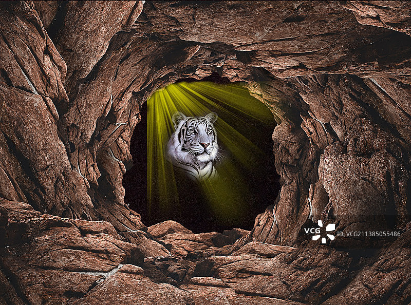 岩洞内岩石构造高角度景观图片素材