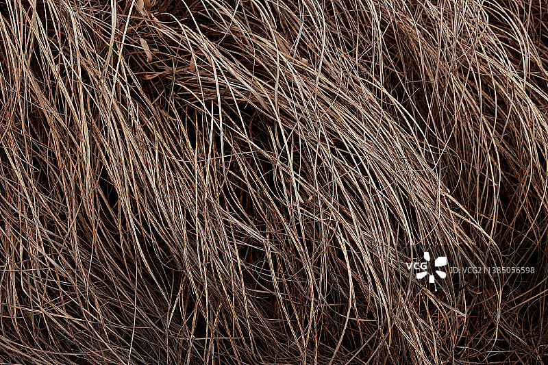 棕色干草全画幅照片图片素材