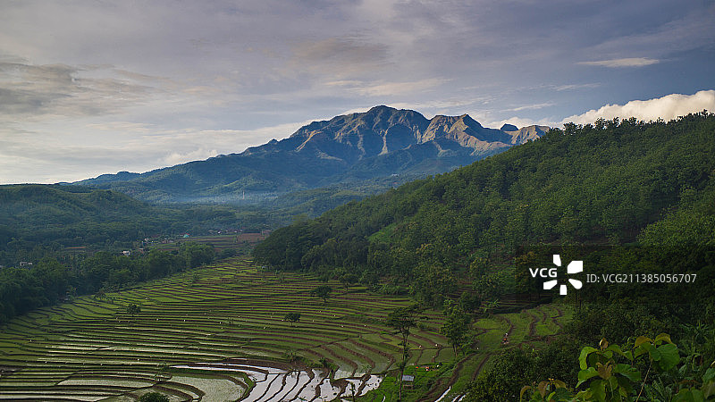 印度尼西亚东爪哇省恩甘朱克县马卡南村农业景观图片素材