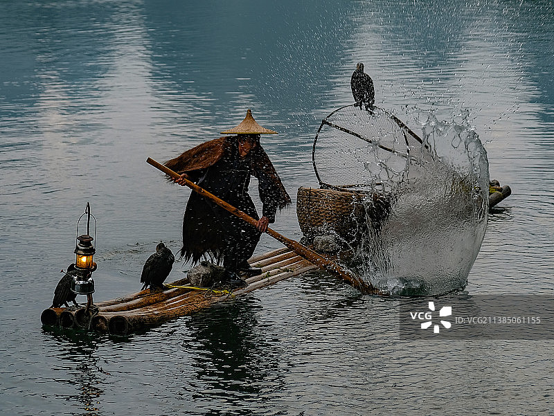 渔夫黑胡子鸬鹚戏水图片素材