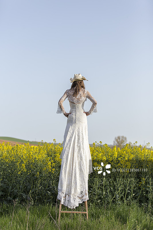 田野里的新娘：站在西班牙瓜达拉哈拉空旷天空下的新娘背影图片素材