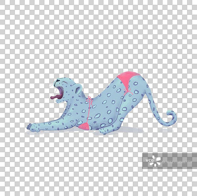 蓝色比基尼豹图片素材