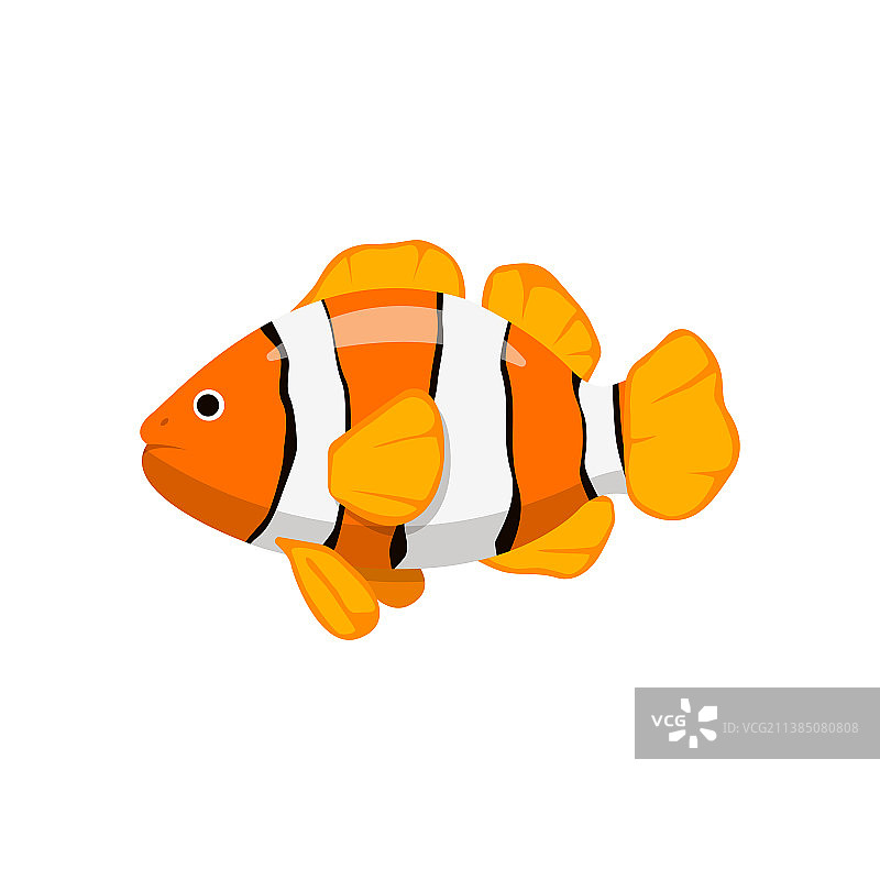 卡通风格的小丑鱼图片素材