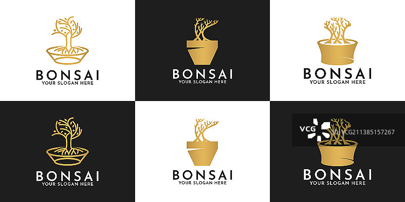 盆栽树标志设计图片素材