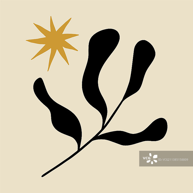 抽象花卉造型植物组合图片素材