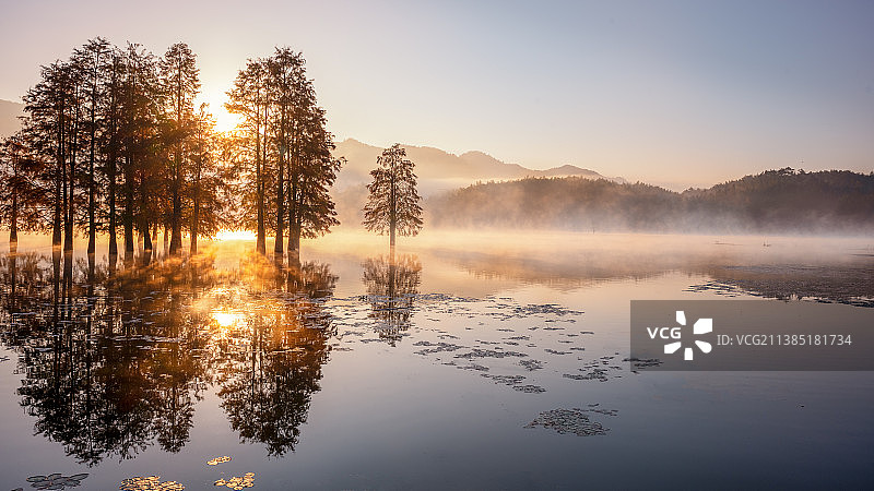 奇墅湖晨曦图片素材