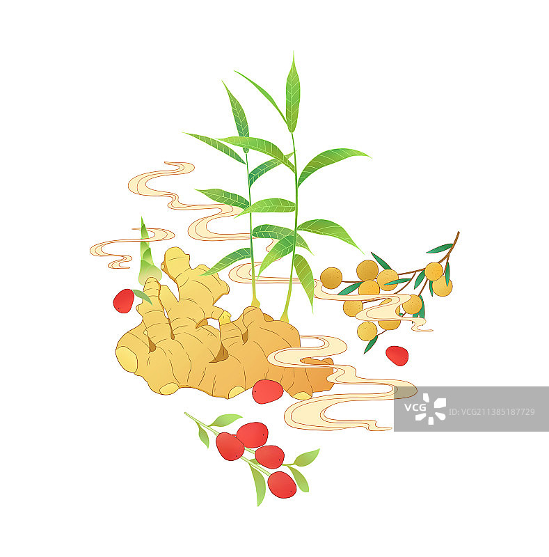 红枣桂圆姜图片素材
