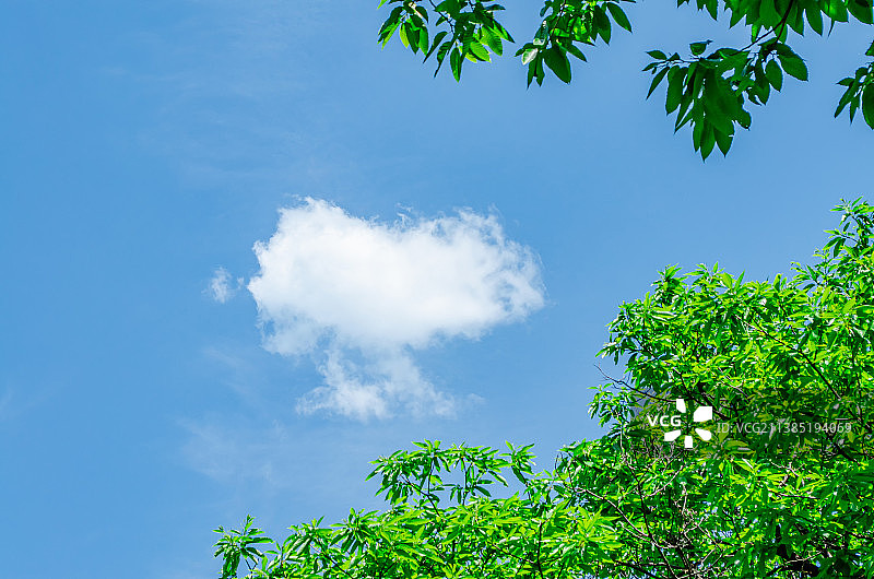 中国自然风光拍摄主题，绿色大树和蓝色的天空白云，户外白昼无人图像摄影图片素材