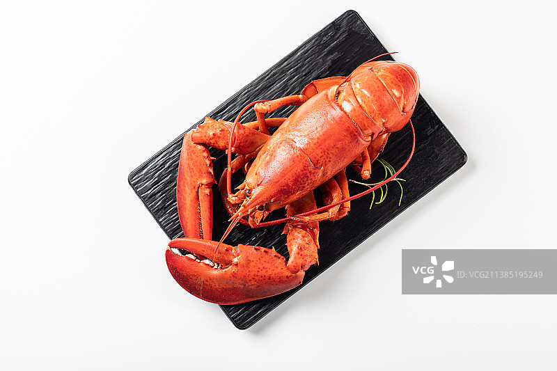 波士顿龙虾图片素材