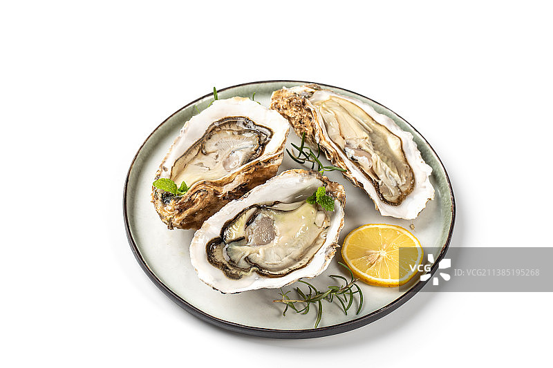 新鲜大生蚝图片素材
